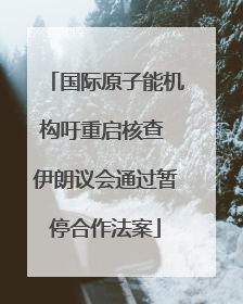 国际原子能机构吁重启核查 伊朗议会通过暂停合作法案