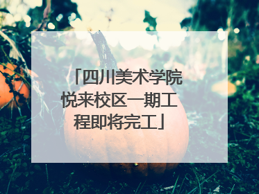 四川美术学院悦来校区一期工程即将完工