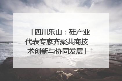 四川乐山：硅产业代表专家齐聚共商技术创新与协同发展