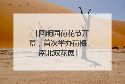 圆明园荷花节开幕，首次举办荷梅南北双花展