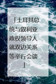 土耳其总统与叙利亚政权领导人就双边关系等举行会谈