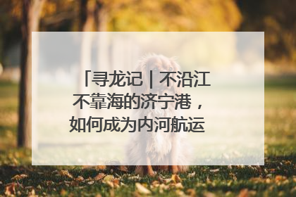 寻龙记｜不沿江不靠海的济宁港，如何成为内河航运的“绝对主力”