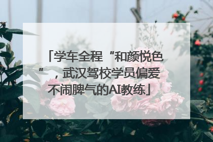 学车全程“和颜悦色”，武汉驾校学员偏爱不闹脾气的AI教练