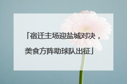 宿迁主场迎盐城对决，美食方阵助球队出征