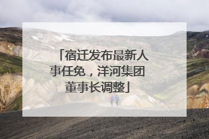 宿迁发布最新人事任免，洋河集团董事长调整