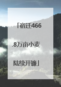 宿迁466.8万亩小麦陆续开镰