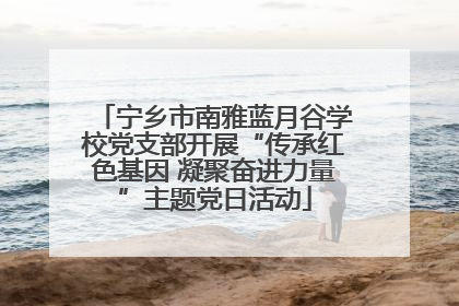 宁乡市南雅蓝月谷学校党支部开展“传承红色基因 凝聚奋进力量”主题党日活动