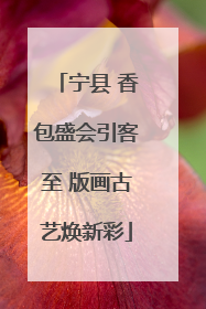 宁县 香包盛会引客至 版画古艺焕新彩