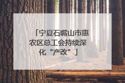 宁夏石嘴山市惠农区总工会持续深化“产改”