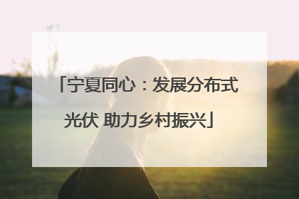 宁夏同心：发展分布式光伏 助力乡村振兴
