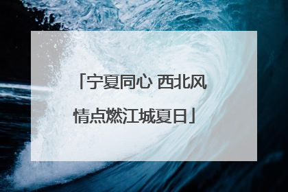 宁夏同心 西北风情点燃江城夏日