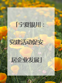 宁夏银川：党建活动促安居企业发展