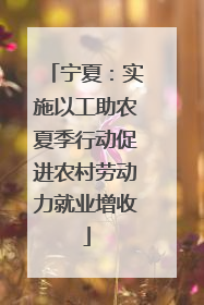 宁夏：实施以工助农夏季行动促进农村劳动力就业增收
