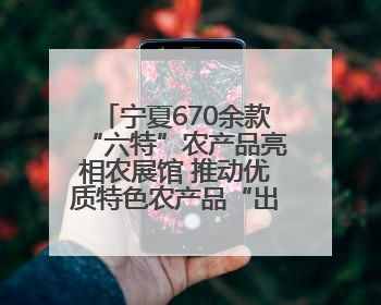 宁夏670余款“六特”农产品亮相农展馆 推动优质特色农产品“出宁进京”