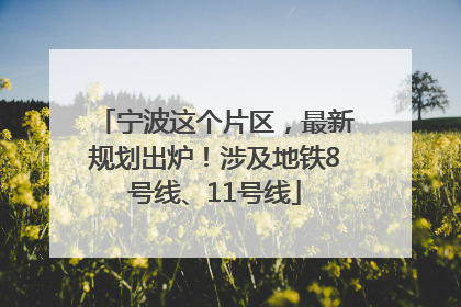 宁波这个片区，最新规划出炉！涉及地铁8号线、11号线