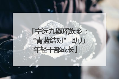宁远九疑瑶族乡：“青蓝结对” 助力年轻干部成长