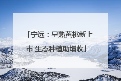 宁远：早熟黄桃新上市 生态种植助增收