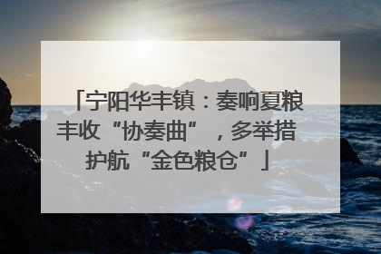 宁阳华丰镇：奏响夏粮丰收“协奏曲”，多举措护航“金色粮仓”