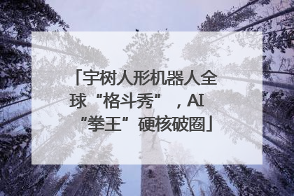 宇树人形机器人全球“格斗秀”，AI“拳王”硬核破圈
