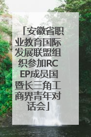 安徽省职业教育国际发展联盟组织参加RCEP成员国暨长三角工商界青年对话会