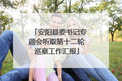 安阳县委书记专题会听取第十二轮巡察工作汇报