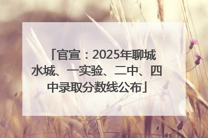 官宣：2025年聊城水城、一实验、二中、四中录取分数线公布