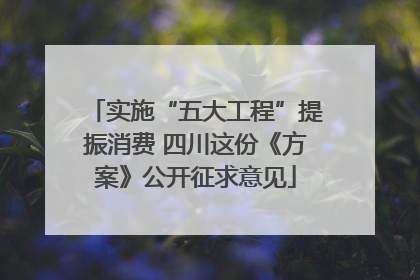 实施“五大工程”提振消费 四川这份《方案》公开征求意见