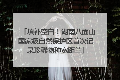 填补空白！湖南八面山国家级自然保护区首次记录珍稀物种宽距兰