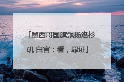 墨西哥国旗飘扬洛杉矶 白宫：看，罪证