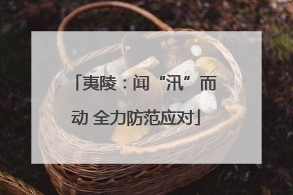 夷陵：闻“汛”而动 全力防范应对