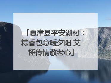 夏津县平安湖村：粽香包意暖夕阳 艾锤传情敬老心
