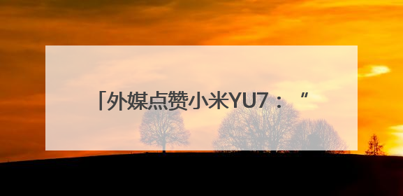 外媒点赞小米YU7：“特斯拉迎来最强挑战者”