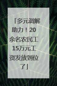 多元调解助力！20余名农民工15万元工资发放到位了
