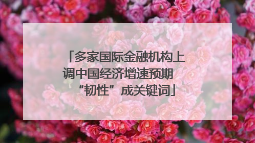 多家国际金融机构上调中国经济增速预期 “韧性”成关键词