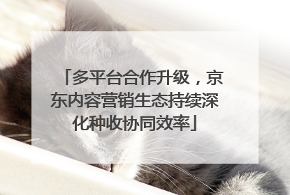 多平台合作升级，京东内容营销生态持续深化种收协同效率