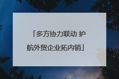 多方协力联动 护航外贸企业拓内销