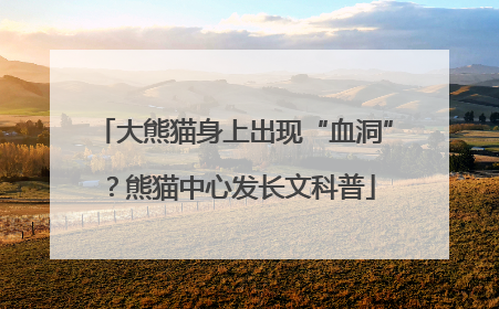 大熊猫身上出现“血洞”？熊猫中心发长文科普