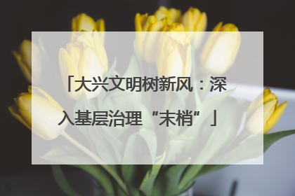 大兴文明树新风：深入基层治理“末梢”