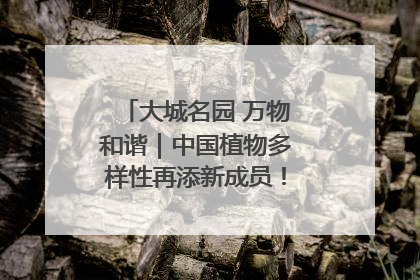 大城名园 万物和谐｜中国植物多样性再添新成员！它只在西藏墨脱