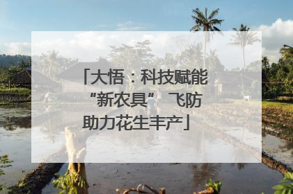 大悟：科技赋能“新农具” 飞防助力花生丰产