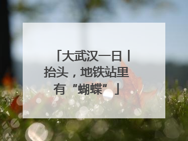 大武汉一日丨抬头，地铁站里有“蝴蝶”