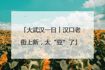 大武汉一日︱汉口老街上新，太“豆”了