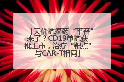 天价抗癌药“平替”来了？CD19单抗获批上市，治疗“靶点”与CAR-T相同