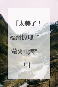 太美了！福州惊现“萤火虫海”！