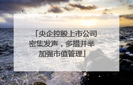 央企控股上市公司密集发声，多措并举加强市值管理