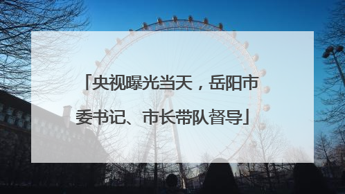 央视曝光当天，岳阳市委书记、市长带队督导