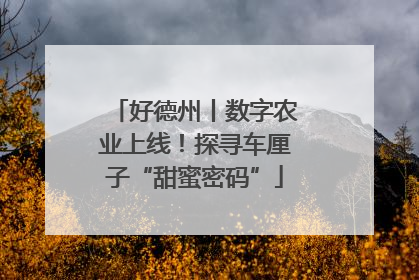 好德州丨数字农业上线！探寻车厘子“甜蜜密码”
