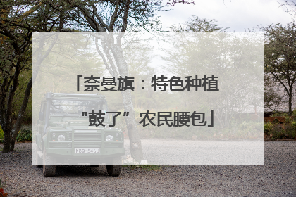奈曼旗：特色种植“鼓了”农民腰包