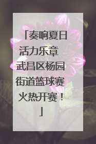 奏响夏日活力乐章 武昌区杨园街道篮球赛火热开赛！