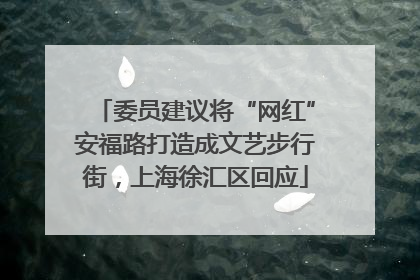 委员建议将“网红”安福路打造成文艺步行街，上海徐汇区回应
